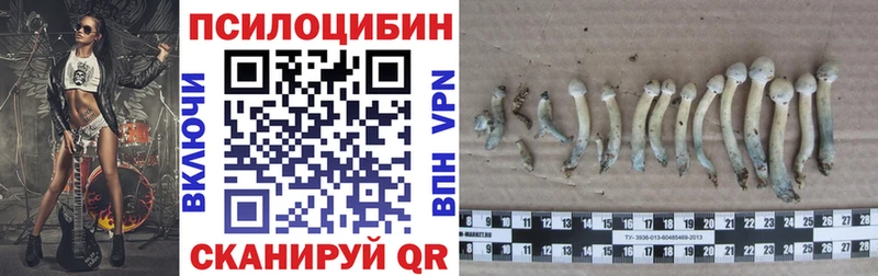 Галлюциногенные грибы ЛСД  Алапаевск 